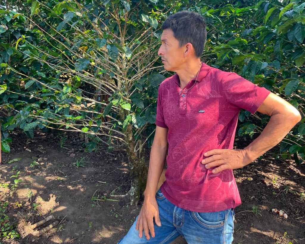 Ruberto Martínez among the coffee trees at his farm El Placer in Nariño, Colombia