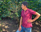 Ruberto Martínez among the coffee trees at his farm El Placer in Nariño, Colombia