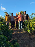 Growers from the Santa Marta community lot standing among the coffee trees in Nariño, Colombia